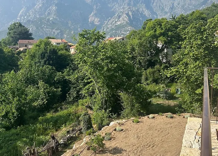 Casa Scaledda * Bocognano